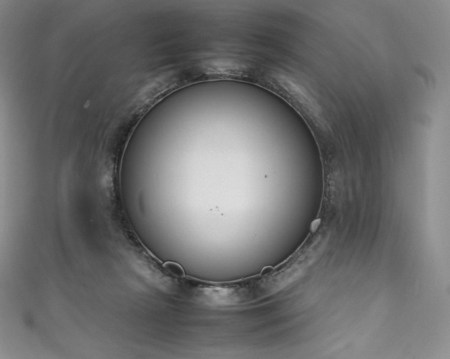 X0000111140265200906301236