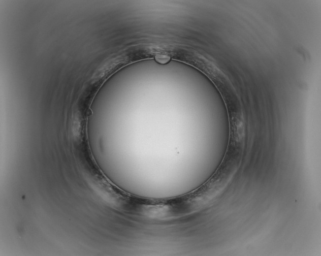 X0000111140266200906301236