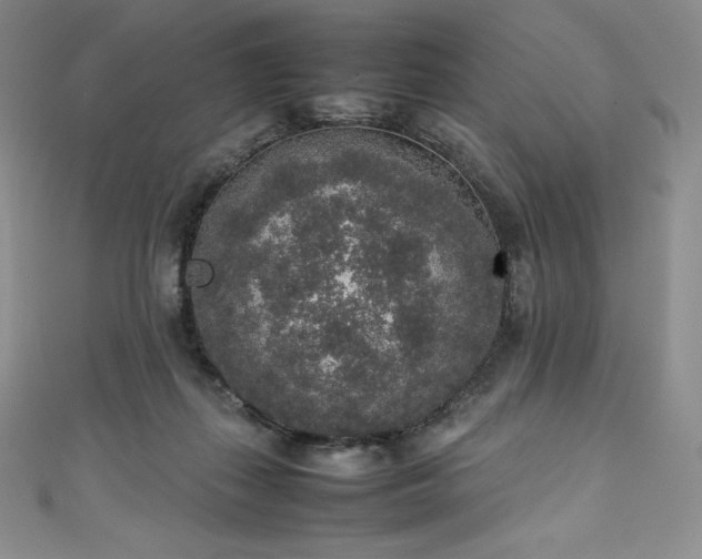 X0000111140267200906301236