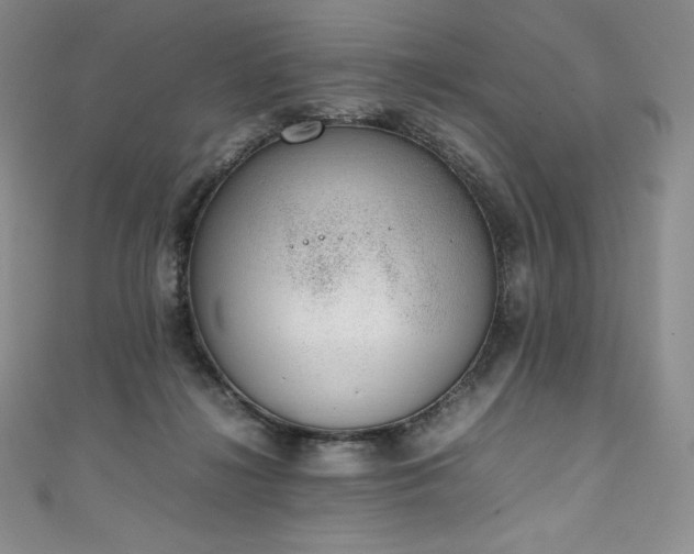 X0000111140268200906301236