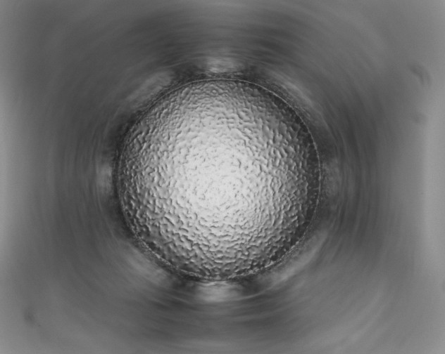 X0000111140269200906301236