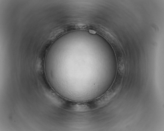 X0000111140270200906301236