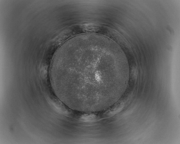 X0000111140271200906301236