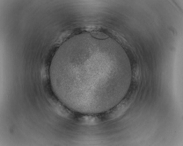 X0000111140272200906301236