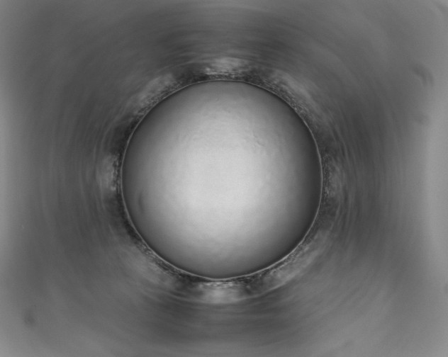 X0000111140273200906301236