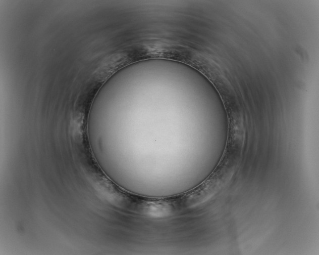 X0000111140275200906301236