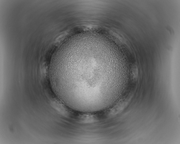 X0000111140276200906301236