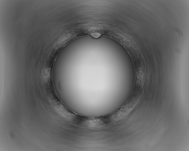 X0000111140278200906301236