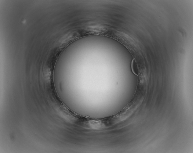 X0000111140279200906301236