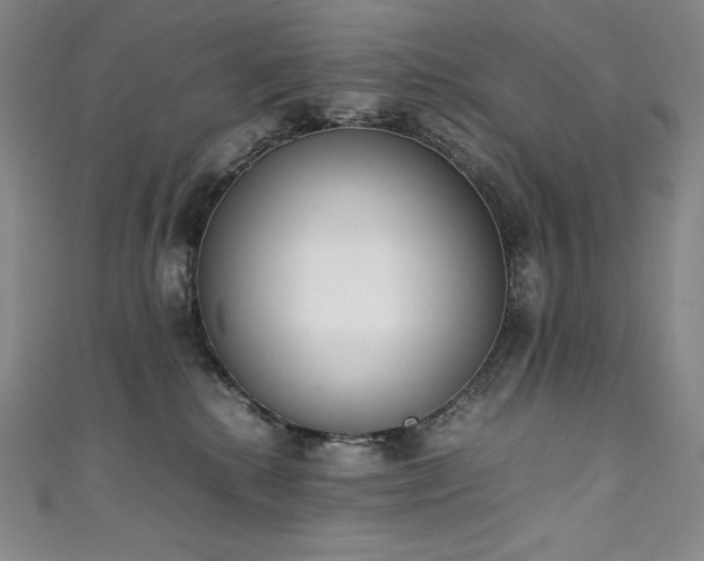 X0000111140280200906301236