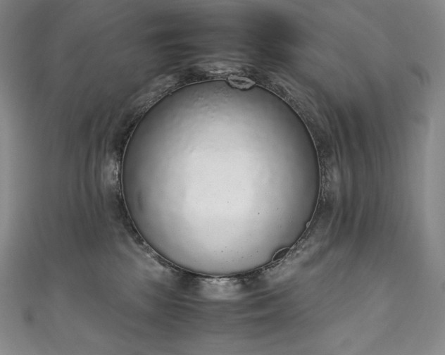 X0000111140281200906301236