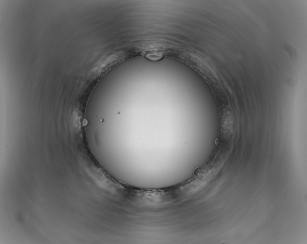 X0000111140282200906301236