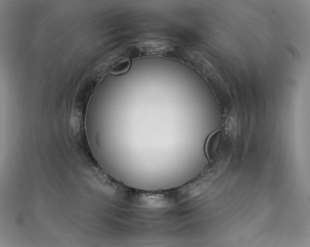 X0000111140283200906301236