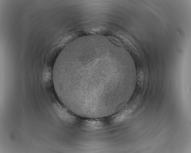 X0000111140284200906301236