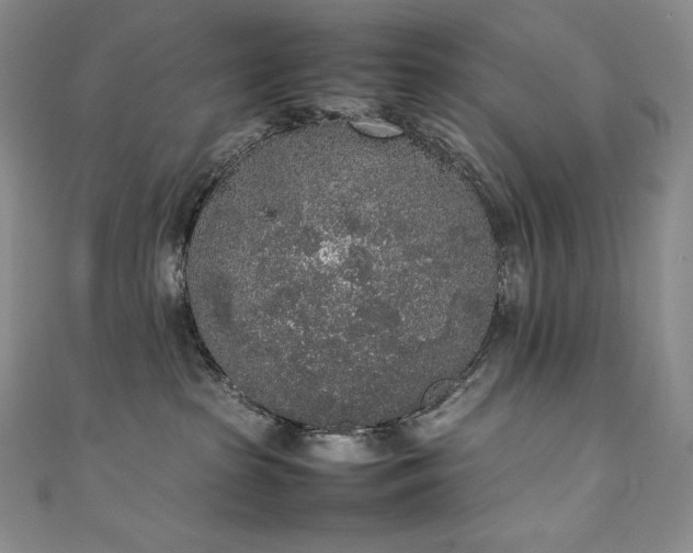 X0000111140285200906301236