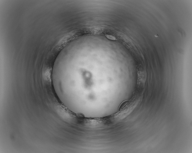 X0000111140286200906301236