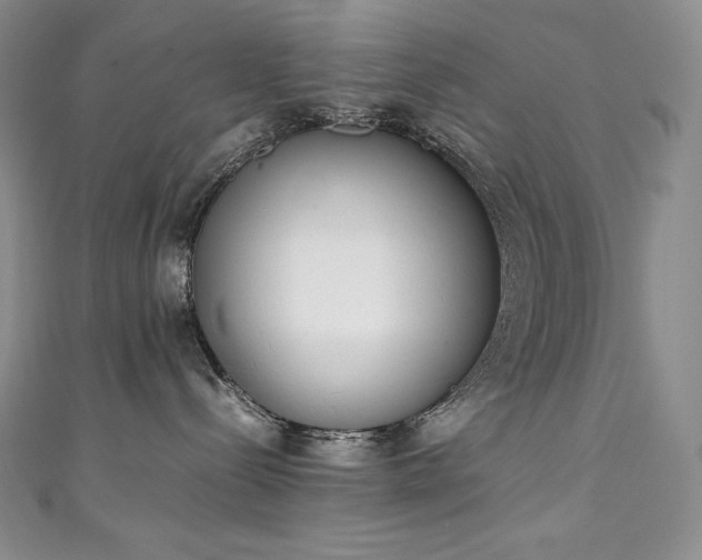 X0000111140288200906301236