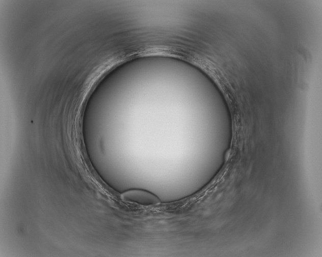 X0000111140289200906301236