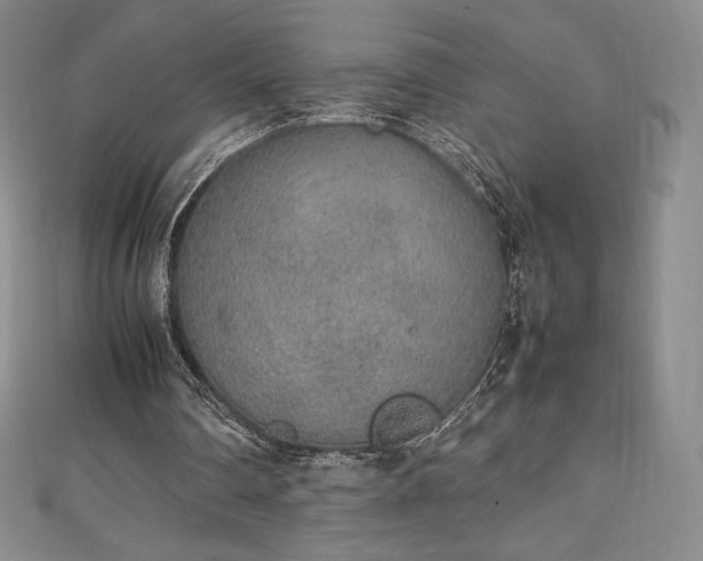 X0000111140290200906301236