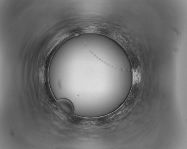 X0000111140291200906301236