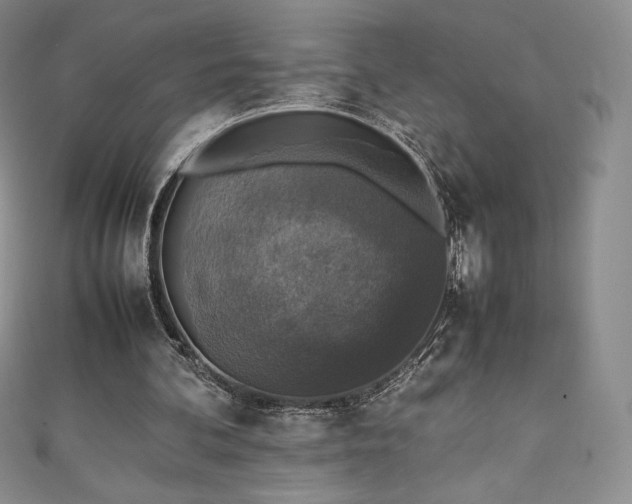 X0000111140292200906301236