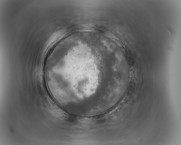 X0000111140293200906301236