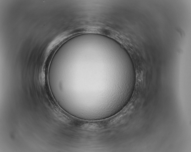 X0000111140294200906301236