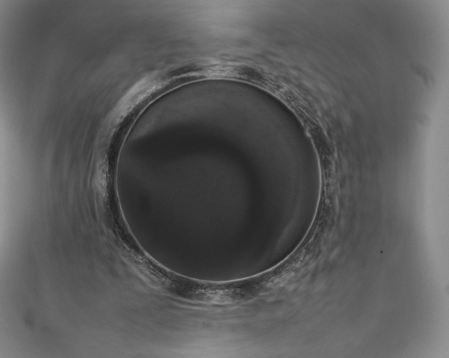 X0000111140295200906301236