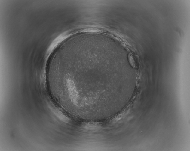 X0000111140296200906301236