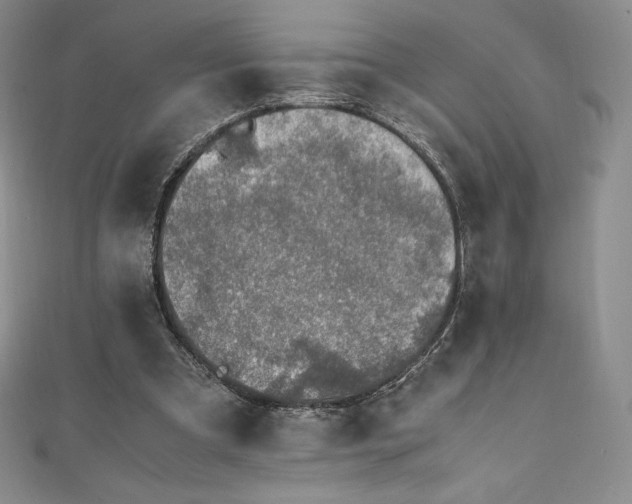 X0000111140297200906301236