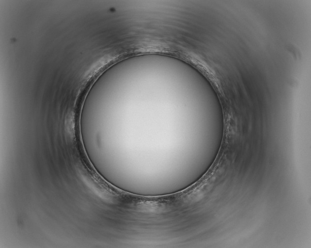 X0000111140298200906301235