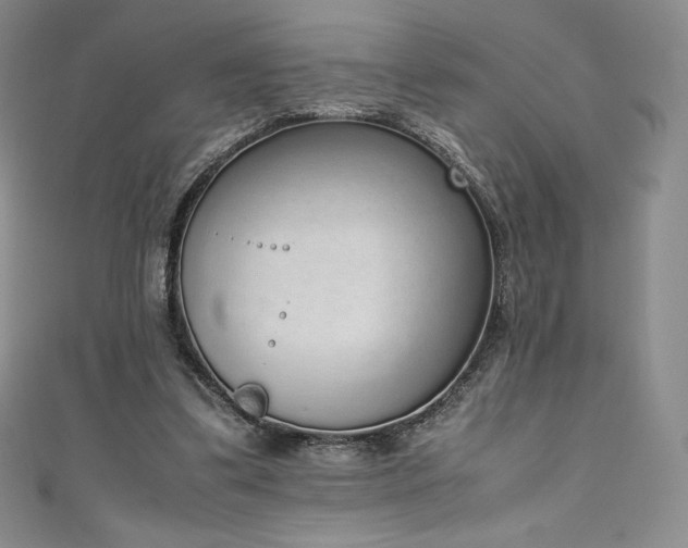 X0000111140299200906301235