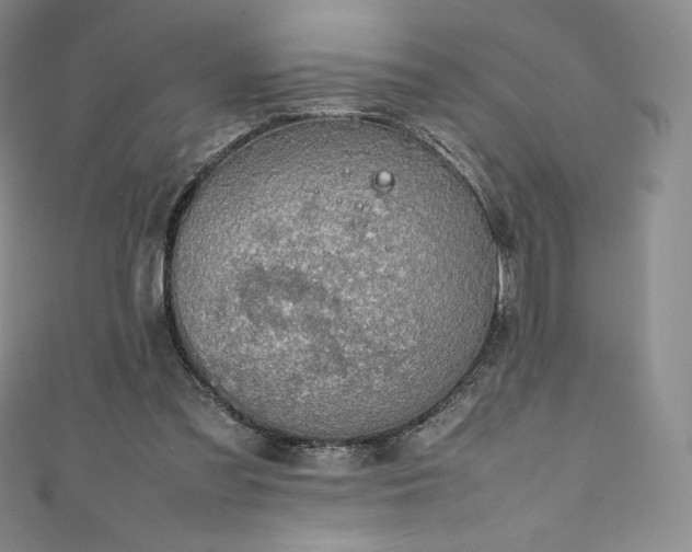 X0000111140301200906301235