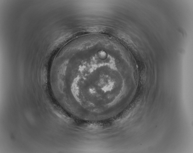 X0000111140303200906301235