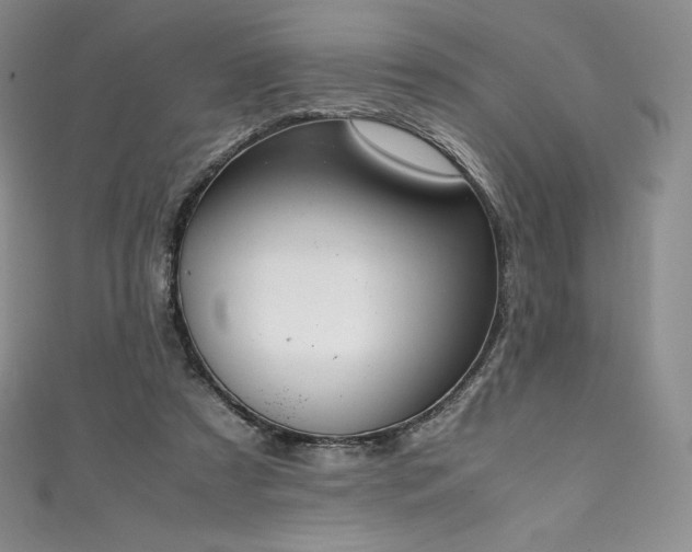 X0000111140305200906301235