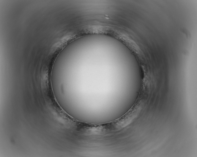 X0000111140306200906301235