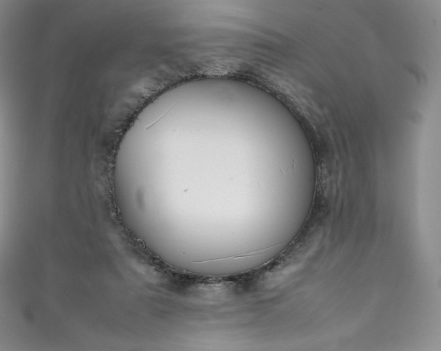 X0000111140307200906301235