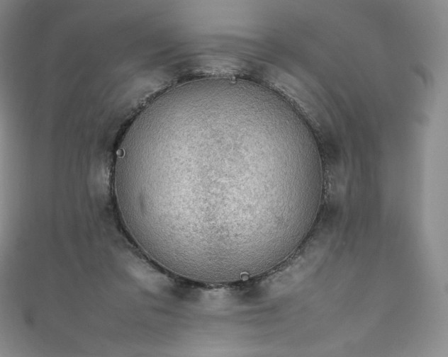 X0000111140309200906301235