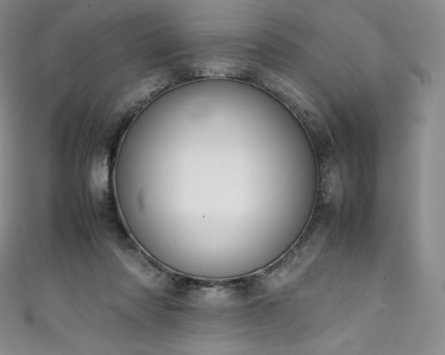 X0000111140310200906301235