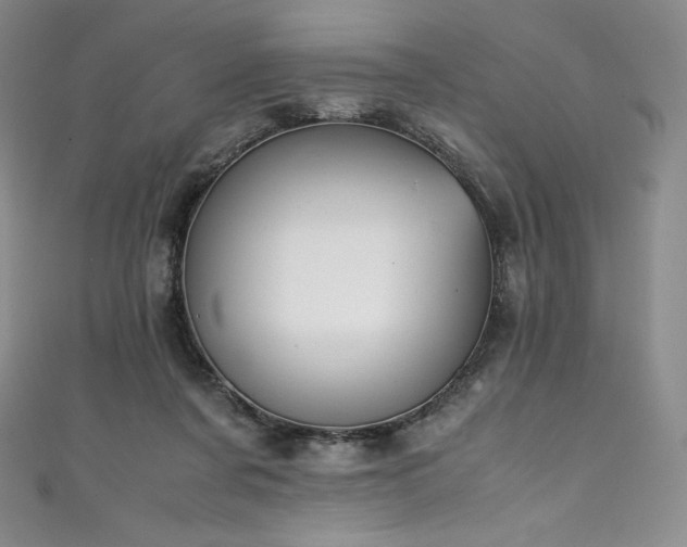 X0000111140311200906301235