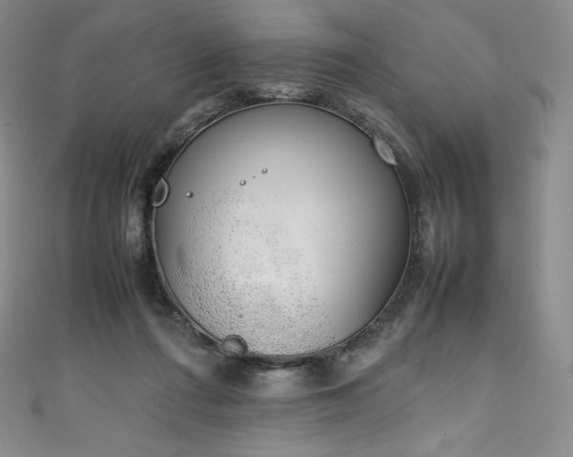 X0000111140312200906301235