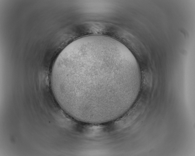 X0000111140313200906301235