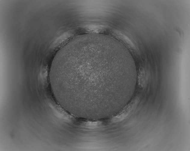 X0000111140314200906301235