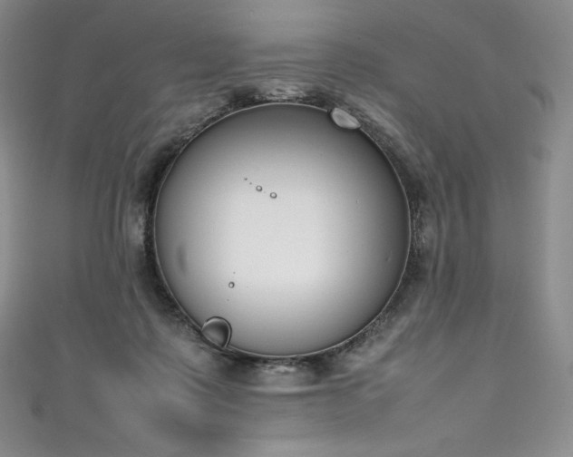 X0000111140315200906301235