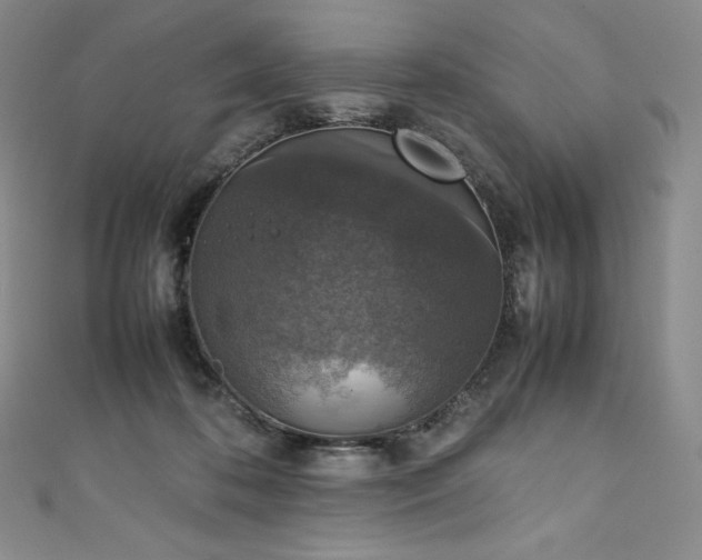 X0000111140316200906301235