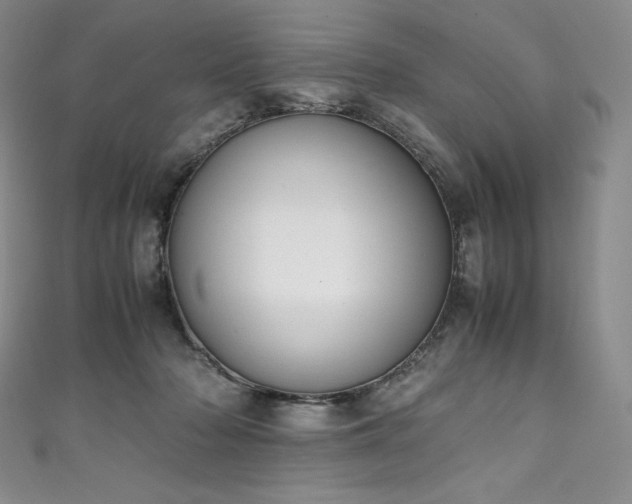 X0000111140318200906301235