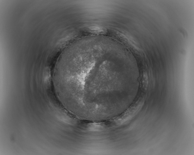 X0000111140320200906301235