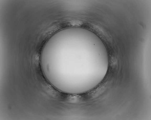 X0000111140321200906301235