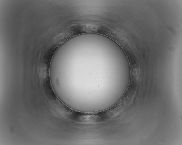 X0000111140323200906301235