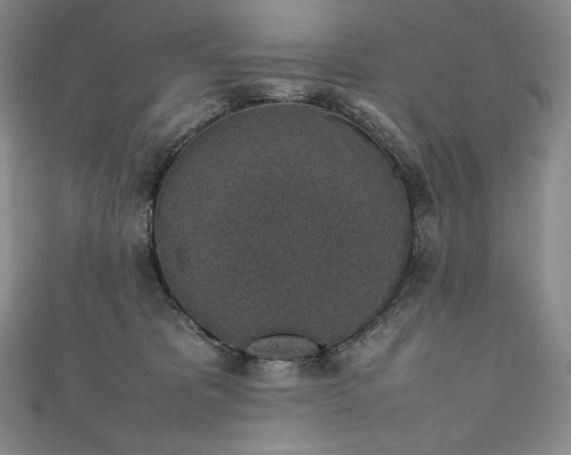 X0000111140325200906301235